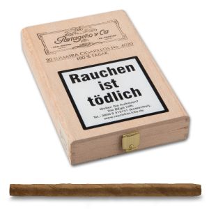 Partageno y Cia No. 6020 Sumatra [1 x 20]