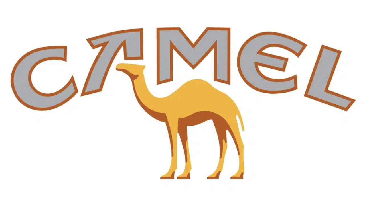 Camel